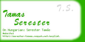 tamas serester business card